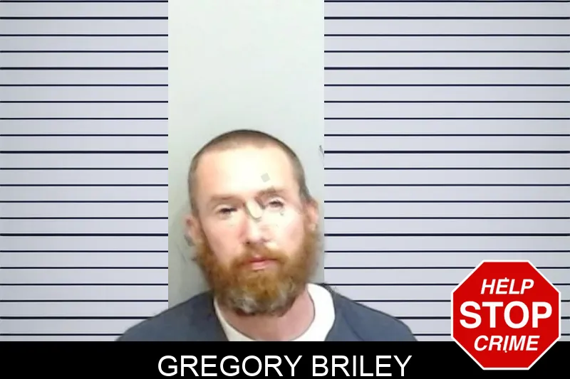 Gregory Briley mugshot