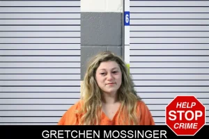 Gretchen Mossinger mugshot