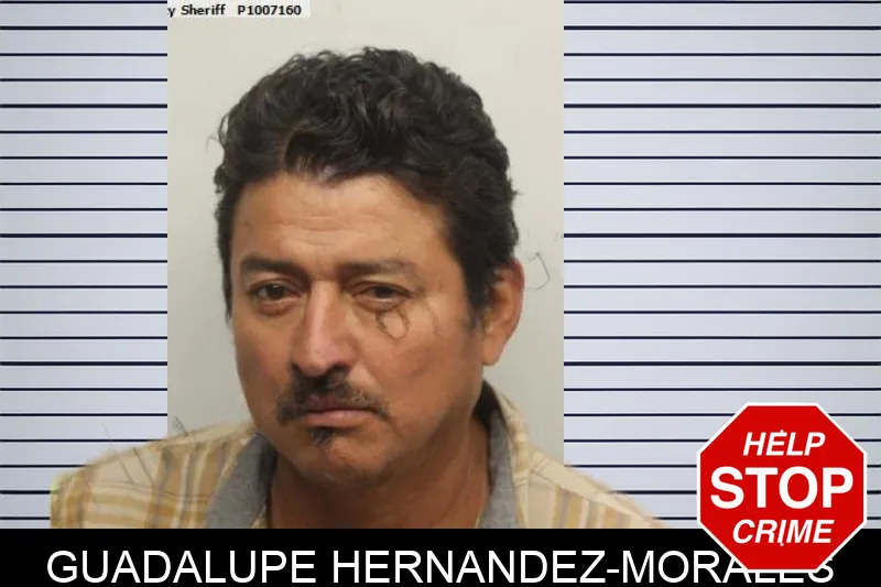 Guadalupe Hernandez-Morales mugshot