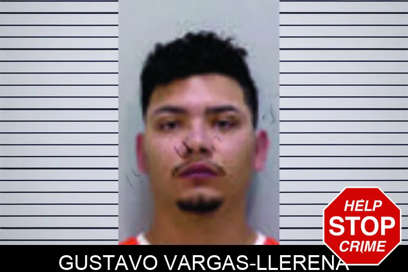 Gustavo Vargas-Llerena