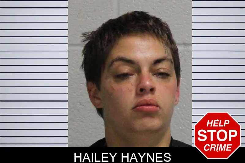 Hailey Haynes Mugshots