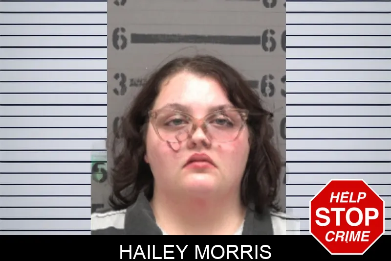 Hailey Morris Mugshots