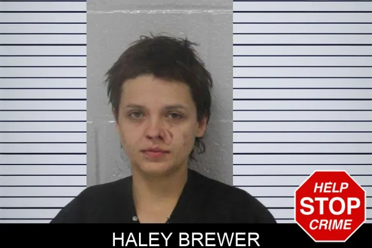 Haley Brewer