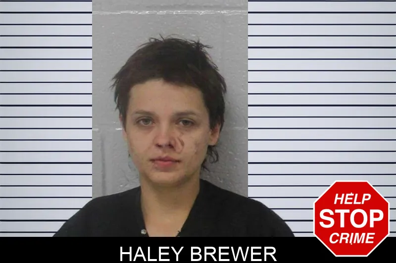 Haley Brewer Mugshots