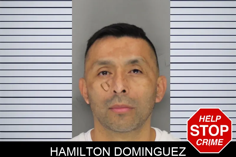 Hamilton Dominguez