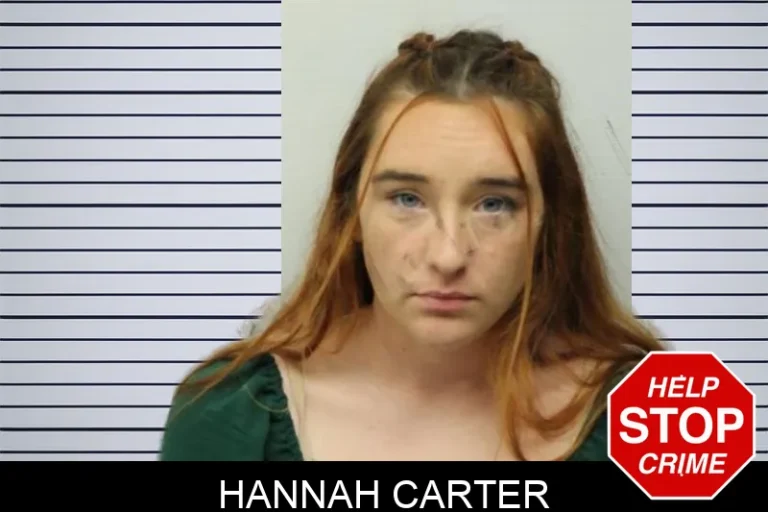 Hannah Carter mugshot – Chatham County , Georgia Hannah Carter