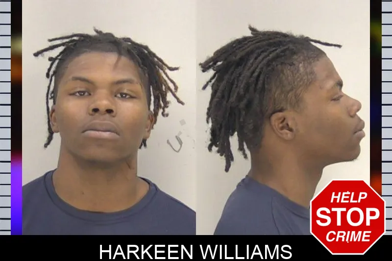 Harkeen Williams mugshot