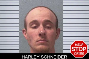Harley Schneider mugshot
