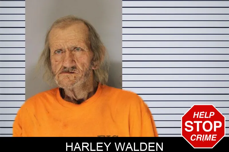 Harley Walden Mugshots