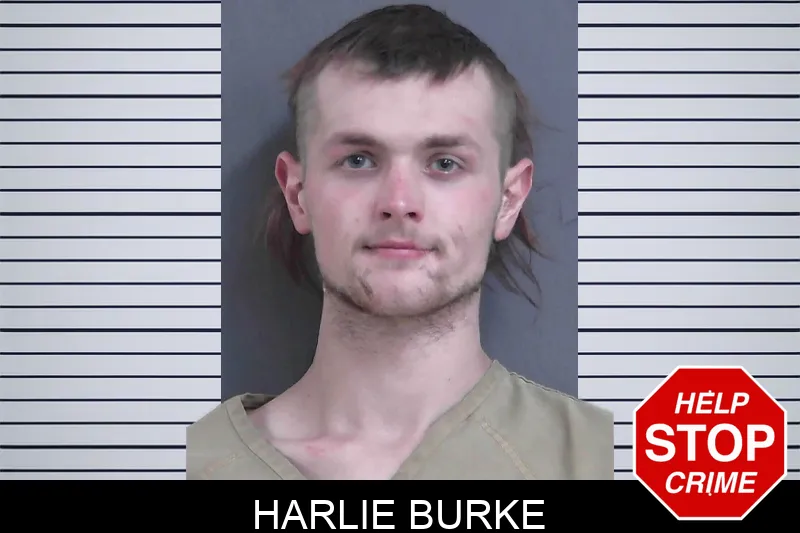 Harlie Burke Mugshots