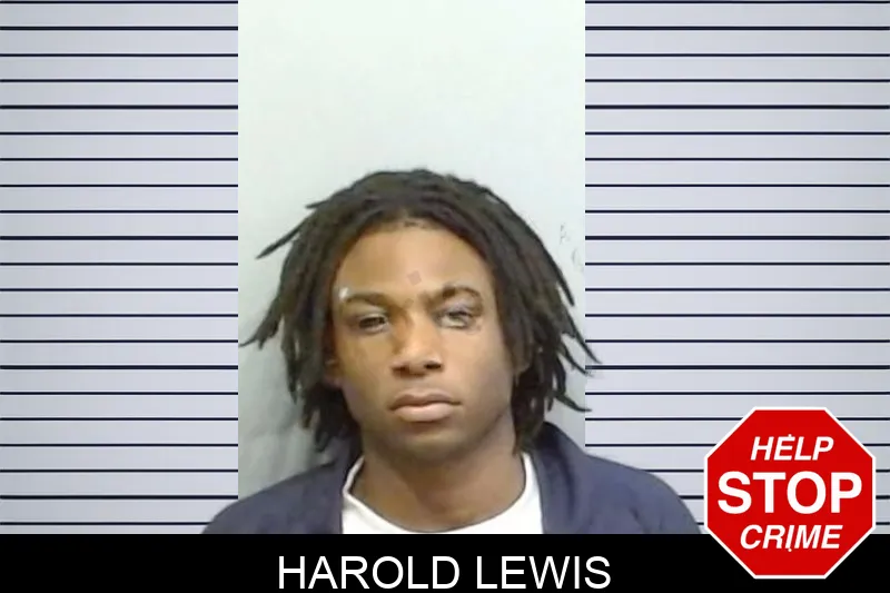 Harold Lewis mugshot