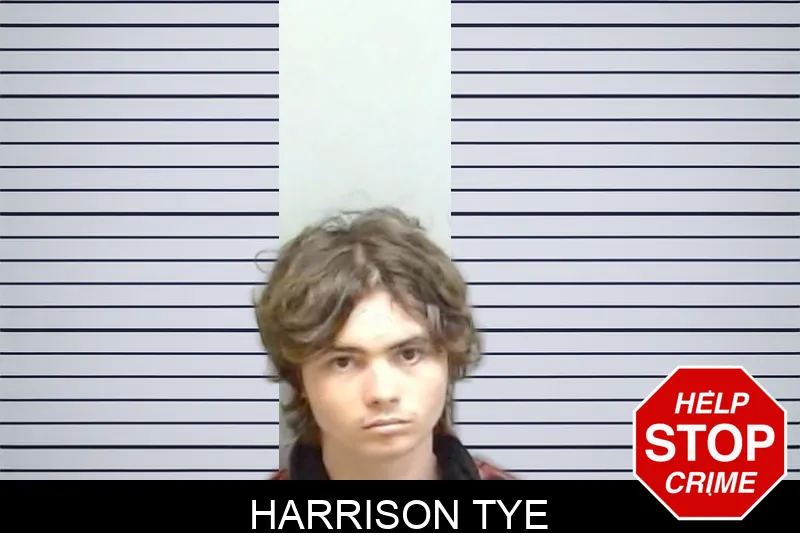 Harrison Tye mugshot