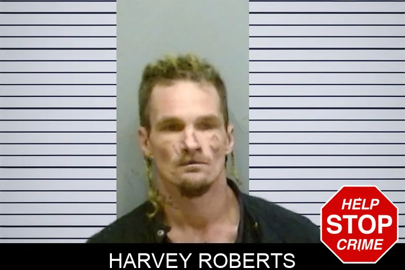 Harvey Roberts mugshot