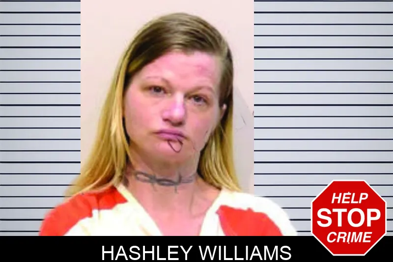 Hashley Williams mugshot