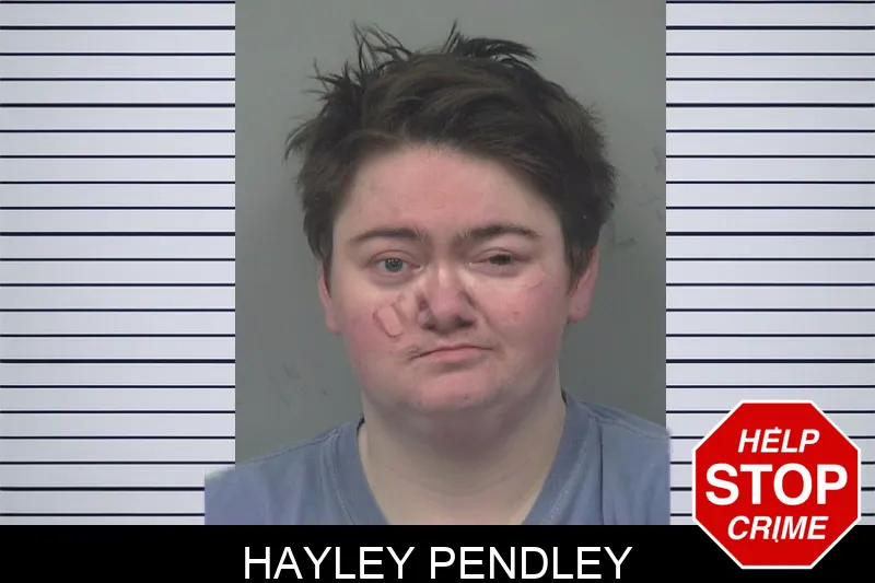 Hayley Pendley mugshot – Gwinnett County , Georgia Hayley Pendley mugshot
