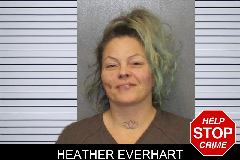 Heather Everhart Mugshots