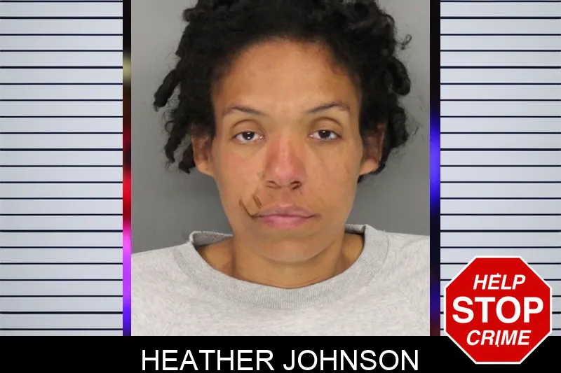 Heather Johnson mugshot – Cobb County , Georgia Heather Johnson mugshot