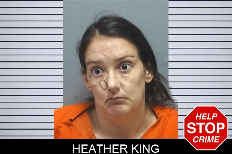 Heather King Mugshots