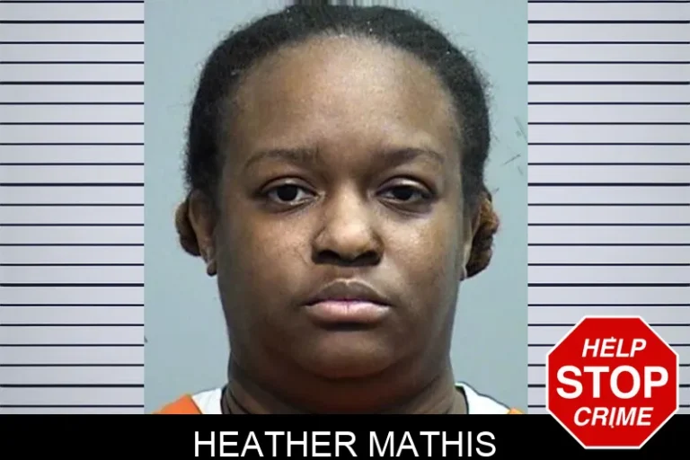 Heather Mathis mugshot – Effingham County , Georgia Heather Mathis