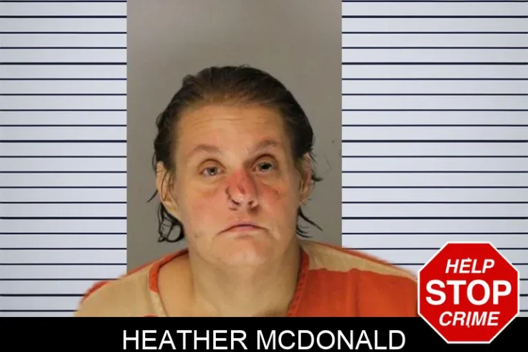 Heather McDonald mugshot β Hall County , Georgia Heather McDonald
