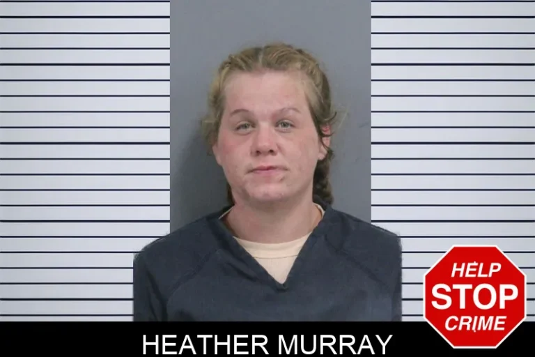 Heather Murray mugshot โ Catoosa County , Georgia Heather Murray