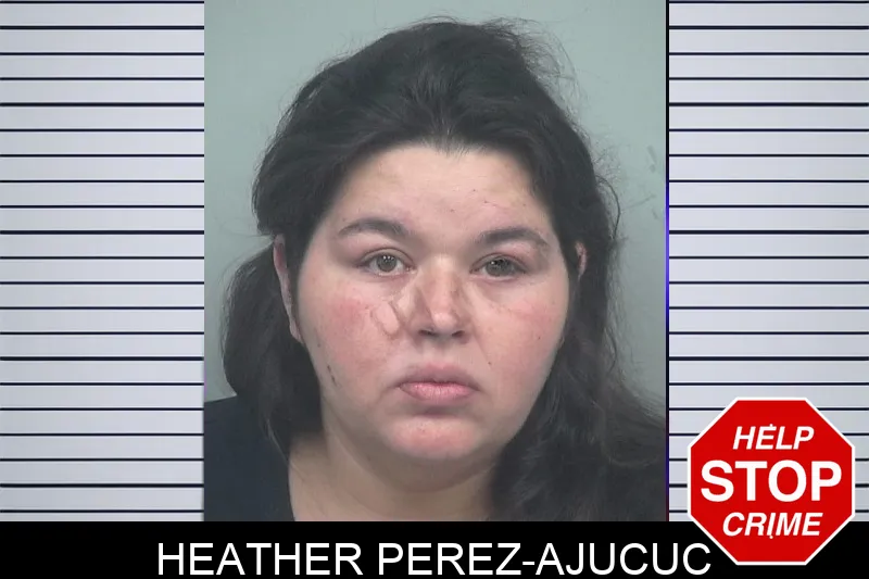 Heather Perez-Ajucuc mugshot