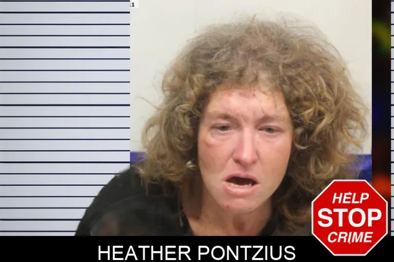 Heather Pontzius mugshot – Chatham County , Georgia Heather Pontzius