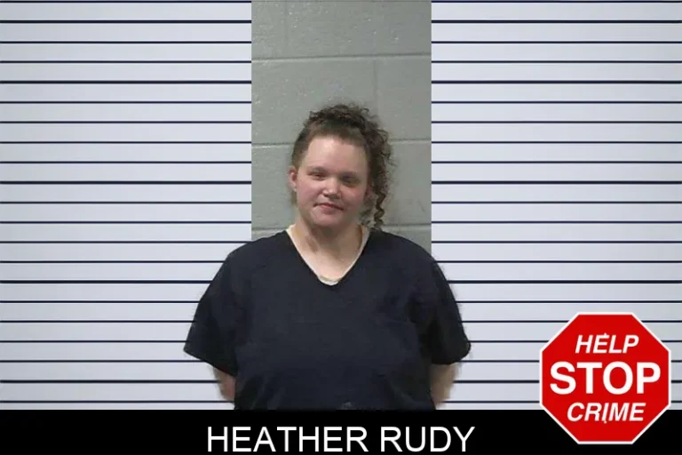 Heather Rudy mugshot – Gilmer County , Georgia Heather Rudy