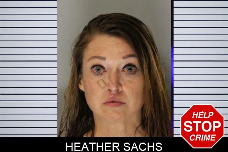 Heather Sachs mugshot – Hall County , Georgia Heather Sachs
