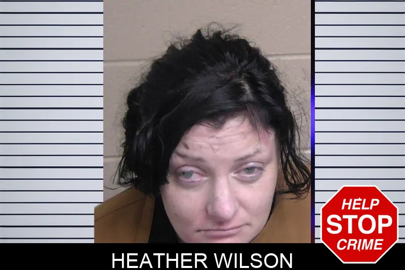 Heather Wilson Mugshots