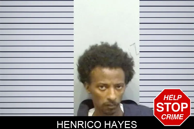 Henrico Hayes mugshot