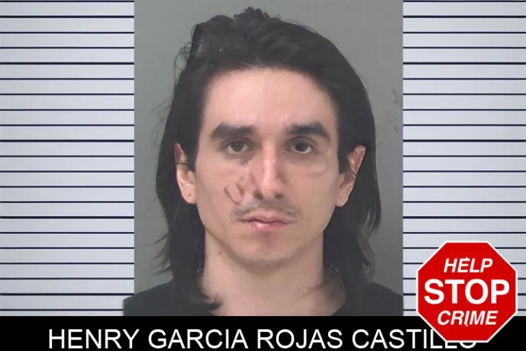 Henry Garcia Rojas Castillo