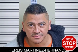 Herlis Martinez-Hernandez mugshot