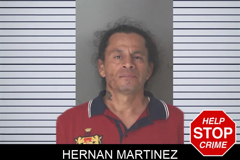 Hernan Martinez Mugshots