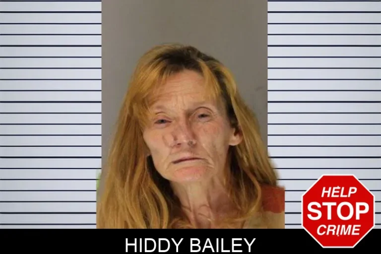Hiddy Bailey mugshot – Hall County , Georgia Hiddy Bailey