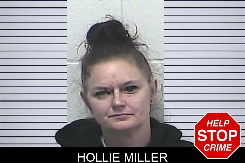 Hollie Miller Mugshots
