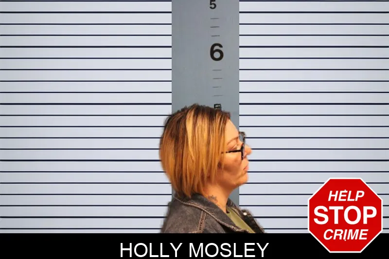 Holly Mosley Mugshots