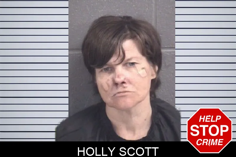 Holly Scott mugshot