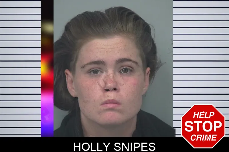 Holly Snipes mugshot – Gwinnett County , Georgia Holly Snipes mugshot