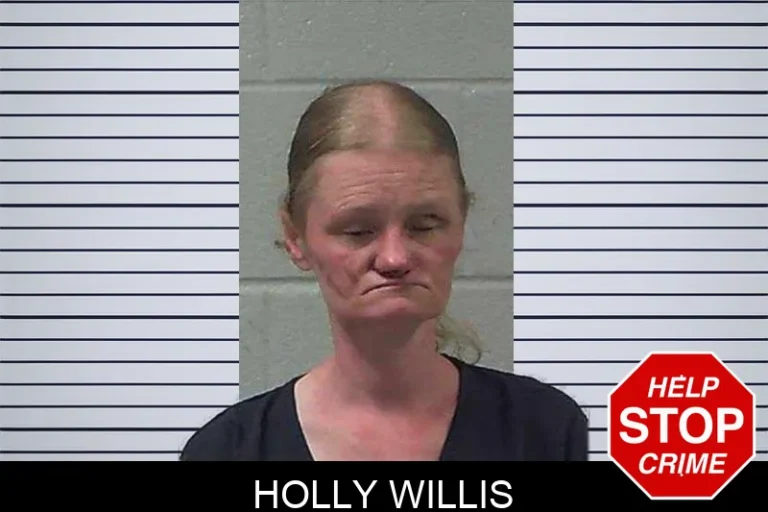 Holly Willis mugshot – Gilmer County , Georgia Holly Willis