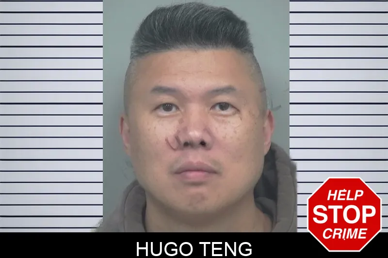 Hugo Teng mugshot