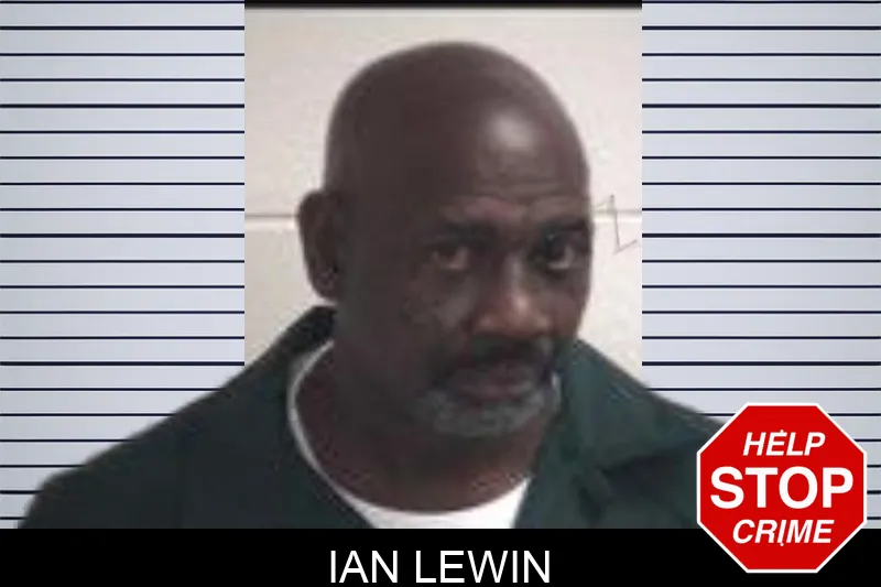 Ian Lewin mugshot – Henry County , Georgia Ian Lewin mugshot