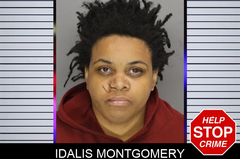 Idalis Montgomery Mugshots