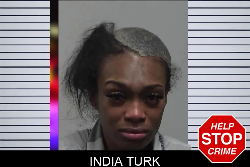 India Turk Mugshots