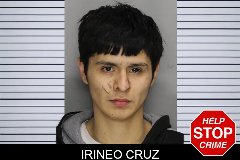 Irineo Cruz Mugshots