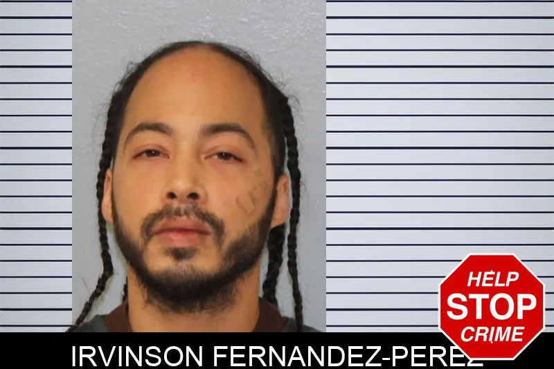 Irvinson Fernandez-Perez
