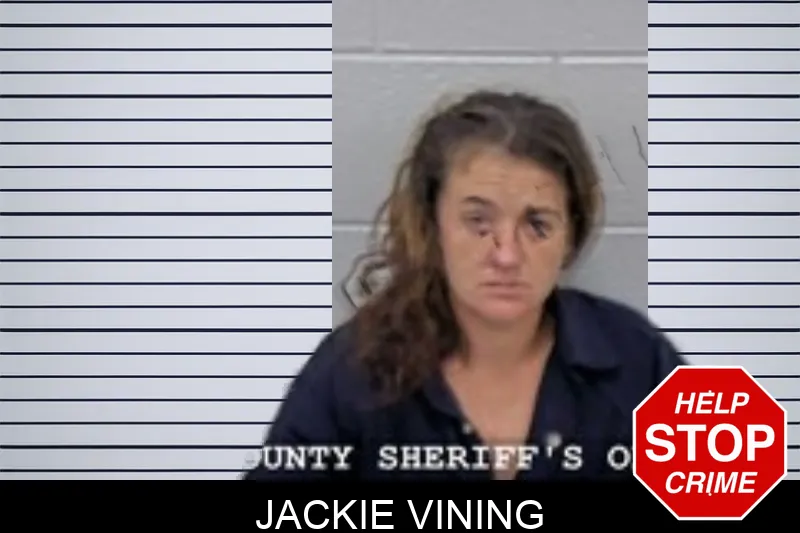 Jackie Vining mugshot – Walton County , Georgia Jackie Vining mugshot