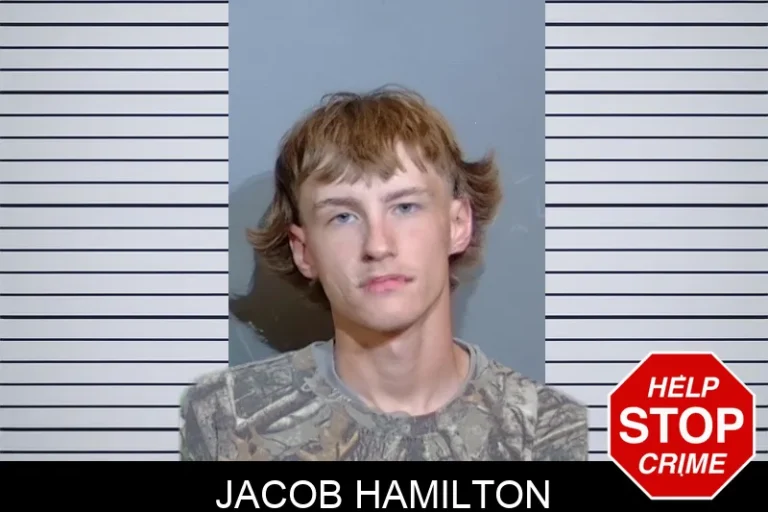 Jacob Hamilton mugshot – Glynn County , Georgia Jacob Hamilton