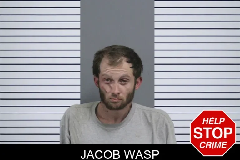 Jacob Wasp mugshot – Catoosa County , Georgia Jacob Wasp