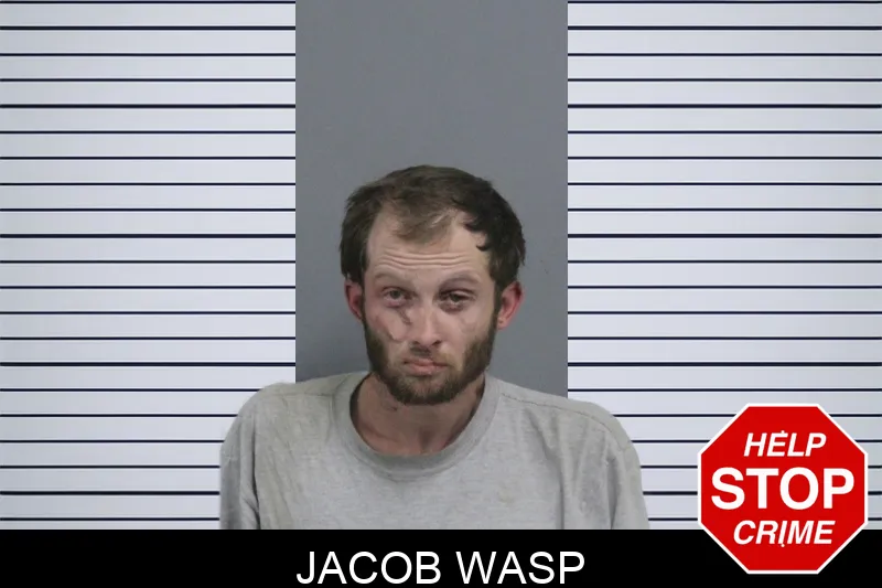 Jacob Wasp Mugshots